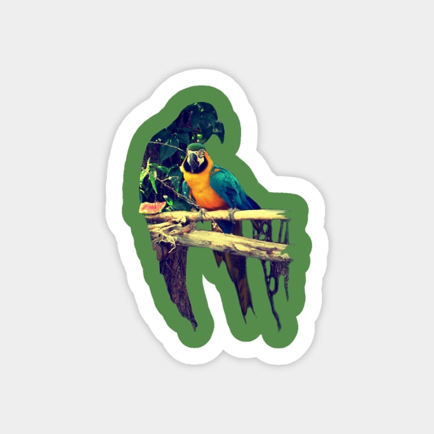 Parrot Sticker by Pixelmania